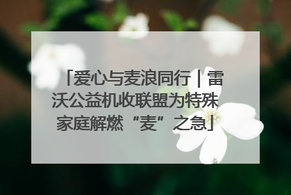 爱心与麦浪同行｜雷沃公益机收联盟为特殊家庭解燃“麦”之急