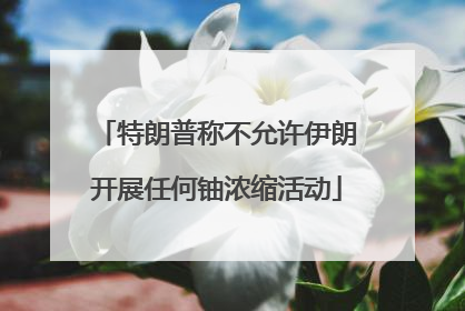 特朗普称不允许伊朗开展任何铀浓缩活动