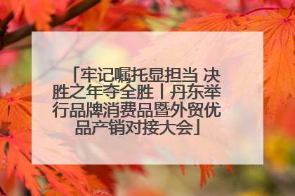 牢记嘱托显担当 决胜之年夺全胜丨丹东举行品牌消费品暨外贸优品产销对接大会