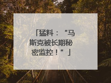 猛料：“马斯克被长期秘密监控！”
