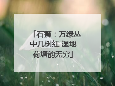 石狮：万绿丛中几树红 湿地荷塘韵无穷