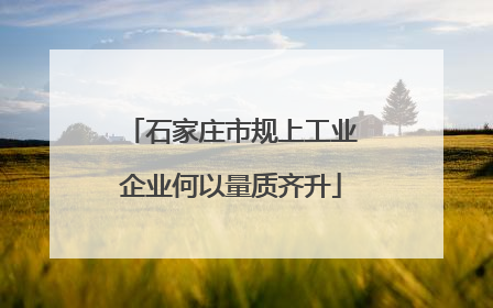 石家庄市规上工业企业何以量质齐升