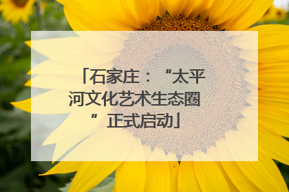 石家庄：“太平河文化艺术生态圈”正式启动