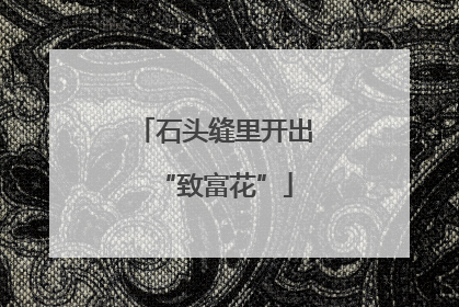 石头缝里开出“致富花”