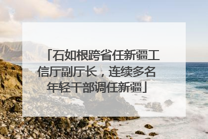 石如根跨省任新疆工信厅副厅长，连续多名年轻干部调任新疆