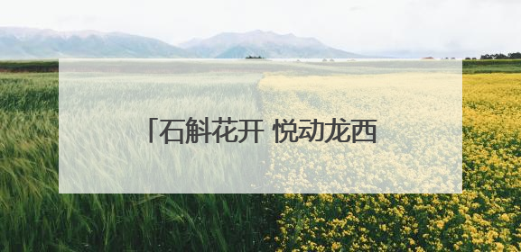 石斛花开 悦动龙西 2025龙西乡荧光村跑活动圆满举行