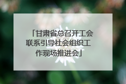 甘肃省总召开工会联系引导社会组织工作现场推进会