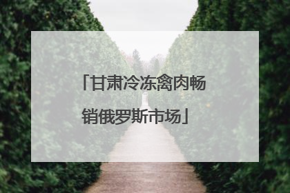 甘肃冷冻禽肉畅销俄罗斯市场