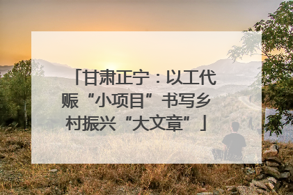 甘肃正宁：以工代赈“小项目”书写乡村振兴“大文章”