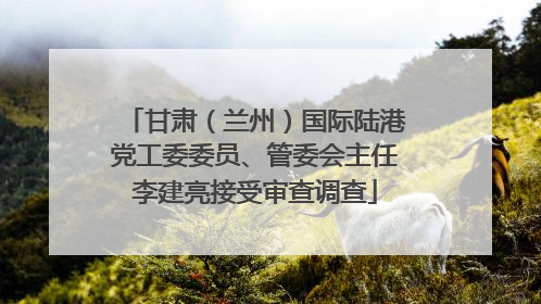 甘肃（兰州）国际陆港党工委委员、管委会主任李建亮接受审查调查