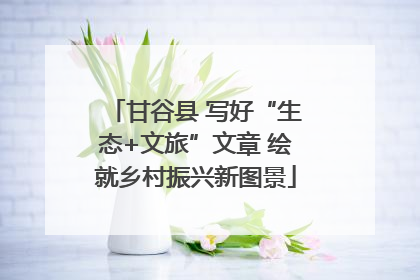 甘谷县 写好“生态+文旅”文章 绘就乡村振兴新图景