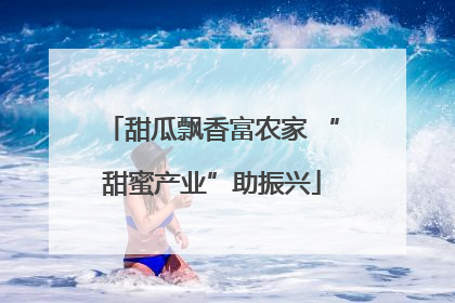 甜瓜飘香富农家 “甜蜜产业”助振兴