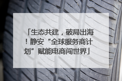 生态共建，破局出海！静安“全球服务商计划”赋能电商闯世界