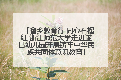 畲乡教育行 同心石榴红 浙江师范大学走进遂昌幼儿园开展铸牢中华民族共同体意识教育