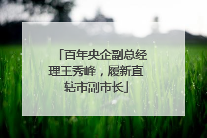 百年央企副总经理王秀峰，履新直辖市副市长