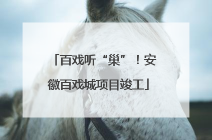 百戏听“巢”！安徽百戏城项目竣工