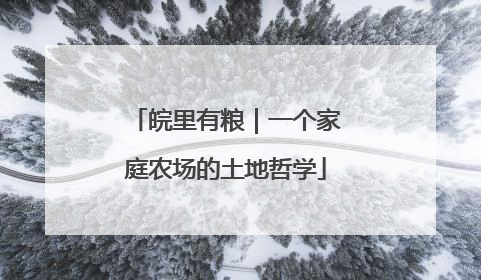 皖里有粮｜一个家庭农场的土地哲学