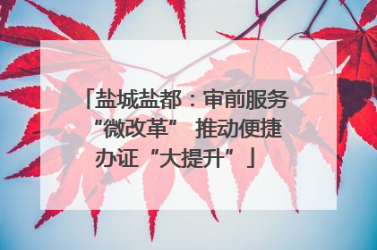 盐城盐都：审前服务“微改革” 推动便捷办证“大提升”