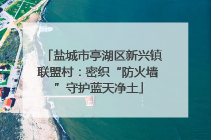 盐城市亭湖区新兴镇联盟村：密织“防火墙”守护蓝天净土