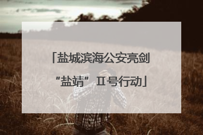 盐城滨海公安亮剑“盐靖”Ⅱ号行动