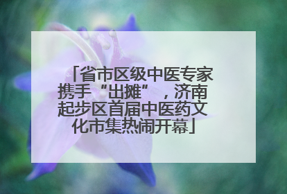 省市区级中医专家携手“出摊”，济南起步区首届中医药文化市集热闹开幕