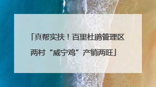 真帮实扶！百里杜鹃管理区两村“威宁鸡”产销两旺