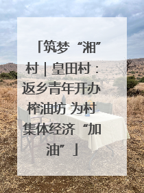 筑梦“湘”村｜皇田村：返乡青年开办榨油坊 为村集体经济“加油”