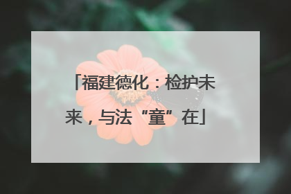 福建德化：检护未来，与法“童”在