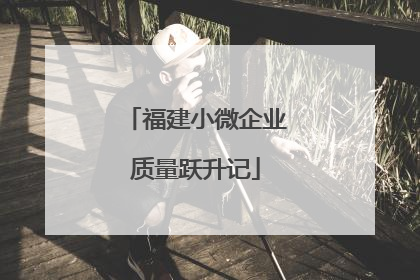 福建小微企业质量跃升记
