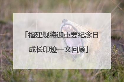 福建舰将迎重要纪念日 成长印迹一文回顾