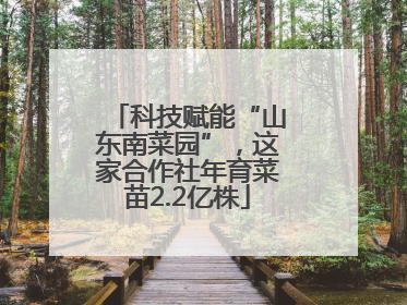 科技赋能“山东南菜园”，这家合作社年育菜苗2.2亿株