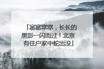 窸窸窣窣，长长的黑影一闪而过！北京有住户家中蛇出没