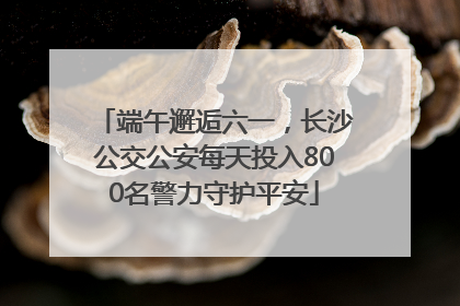 端午邂逅六一，长沙公交公安每天投入800名警力守护平安
