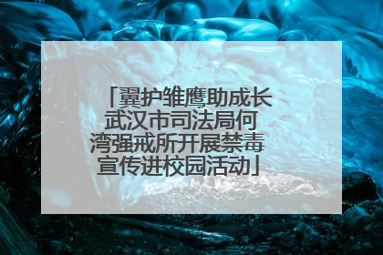 翼护雏鹰助成长 武汉市司法局何湾强戒所开展禁毒宣传进校园活动