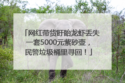 网红带货盱眙龙虾丢失一套5000元紫砂壶，民警垃圾桶里寻回！