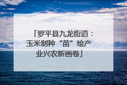 罗平县九龙街道：玉米制种“苗”绘产业兴农新画卷