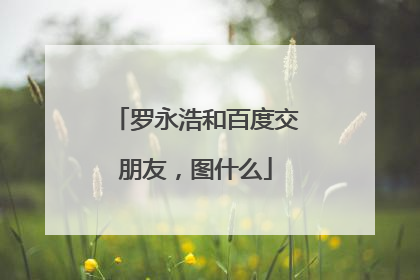 罗永浩和百度交朋友，图什么