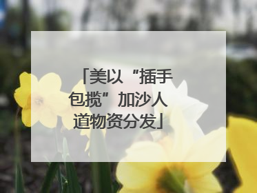美以“插手包揽”加沙人道物资分发