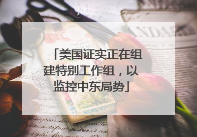 美国证实正在组建特别工作组，以监控中东局势