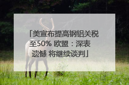 美宣布提高钢铝关税至50% 欧盟：深表遗憾 将继续谈判