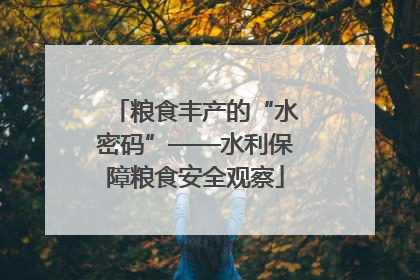 粮食丰产的“水密码”——水利保障粮食安全观察