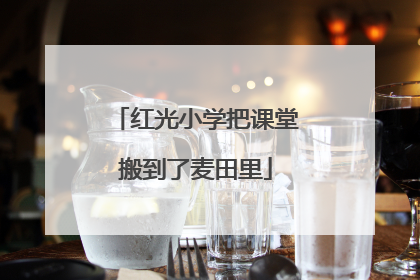 红光小学把课堂搬到了麦田里