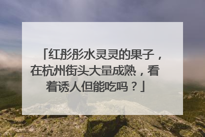 红彤彤水灵灵的果子，在杭州街头大量成熟，看着诱人但能吃吗？
