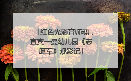 红色光影育师魂，宜宾一曼幼儿园《志愿军》观影记