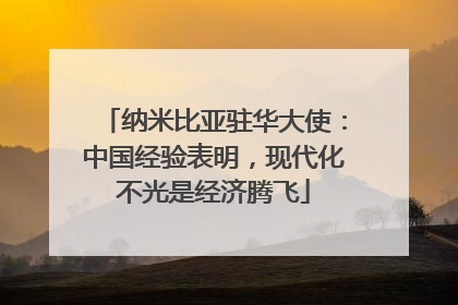 纳米比亚驻华大使：中国经验表明，现代化不光是经济腾飞