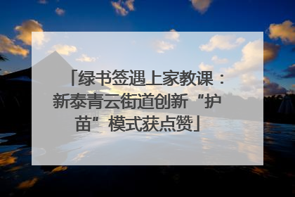 绿书签遇上家教课：新泰青云街道创新“护苗”模式获点赞