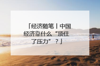 经济随笔丨中国经济靠什么“顶住了压力”？