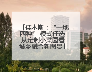 佳木斯：“一地四种” 模式任选 从定制小菜园看城乡融合新图景