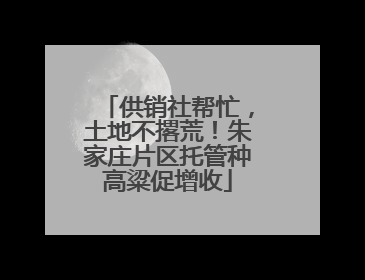 供销社帮忙，土地不撂荒！朱家庄片区托管种高粱促增收
