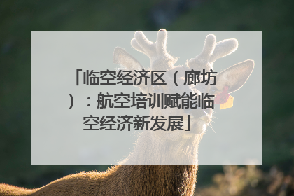 临空经济区（廊坊）：航空培训赋能临空经济新发展